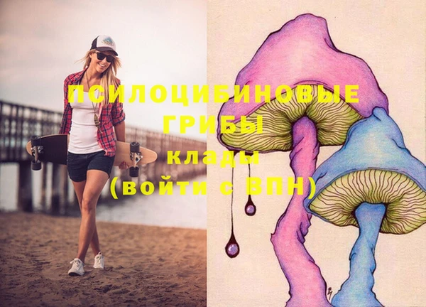 PSILOCYBIN Новозыбков