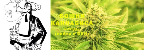 PSILOCYBIN Новозыбков